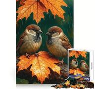 Due passeri in una piovosa giornata autunnale - Puzzle per ragazzi - 1000 pezzi - Esercizio per la mente, rilassante, per i momenti di relax, taglio di precisione, regalo festivo (38x52cm)