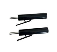 Due Perni di Estensione per Pila di Pesi per Uso in Palestra, Attacchi per