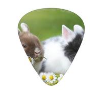 Due piccoli coniglietti carini,12 pezzi di plettri per chitarra, 3 plettri di diverso spessore per chitarra acustica, basso, ukulele