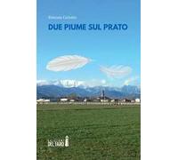Due piume sul prato