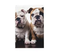 Due simpatici Bulldog Dogs Welcome Garden Flag 2x3 Ft No Fade Double Sided Casa Yard Bandiere Outdoor Banner Decor Per Cortile Portico Prato