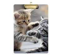 Due simpatici gattini A4 portablocco per aula rigida per il primo anno insegnante deve avere dimensioni 9 x 12