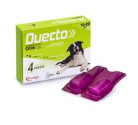 Duecto Spot on 10 kg - 20 kg
