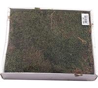 DUEESSE SCATOLA MUSCHIO VERDE DA GR 500 DECORAZIONI PRESEPE NATALE