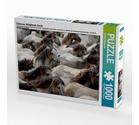 Dülmener - Puzzle da 1000 pezzi, soggetto: cavalli selvatici