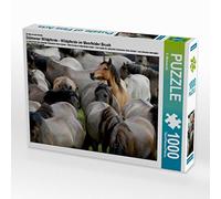 Dülmener - Puzzle da 1000 pezzi, soggetto: cavalli selvatici