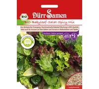 Dürr Samen Insalata Baby Leaf BIO - Spicy Mix - 1 conf.