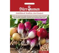 Dürr Samen Nastro di Semi - Mix di Ravanelli - 1 conf.