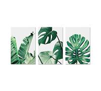 Dugast Pneumatico A.Dugast Rhino FD 33-28 XL Neo