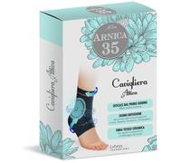 Dulac Farmaceutici Cavigliera Arnica 35 Active con effetto lenitivo, tg2