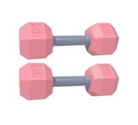 Dumbbell Rattle 2pcs Dumbbell Trainendg Exercise Toy for Workout