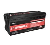 Dumfume Batteria Litio Ferro Fosfato 24V 100Ah, BMS 100A 4000+ Cicli - Ideale per Accumulo Solare, Conversione Camper, Impianto Solare Isolato, Applicazioni Autonome