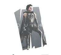 DUNE: PARTE 2 - PROFILO DI PAUL ATREIDES - 22x34 - 24421