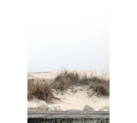 Dunes Undated calendar, Minimalist Daily Planner & Journal: Undated Weekly Schedule and Life Organizer Notebook for School Office and Home