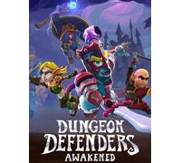 Dungeon Defenders: Awakened (PC) Steam Key EUROPE