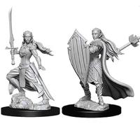 Dungeons And Dragons: Nolzur's Marvelous Unpainted Miniature - Elf Female Druid