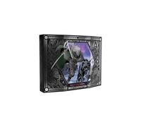 Dungeons & Dragons Forgotten Realms Drizzt & Guenhwyvar Exclusive
