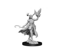 Dungeons & Dragons Frameworks Miniature Model Kit Human Druid Female Wizkids