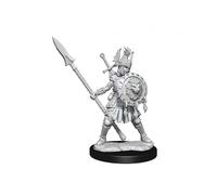 Dungeons & Dragons Frameworks Miniature Model Kit Human Fighter Female Wizkids