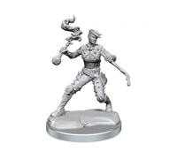 Dungeons & Dragons Frameworks Miniature Model Kit Human Rogue Female Wizkids