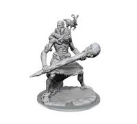 Dungeons & Dragons Frameworks Miniature Model Kit Stone Gigante Wizkids