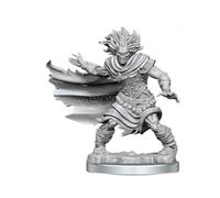 Dungeons & Dragons Frameworks Miniature Model Kit Wight Wizkids