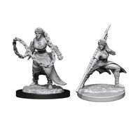 Dungeons & Dragons Le meravigliose miniature non verniciate di Nolzur: Monaco um