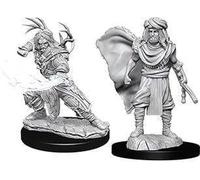 Dungeons & Dragons Nolzur's Marvelous Unpainted Minis: Maschio Umano Druid