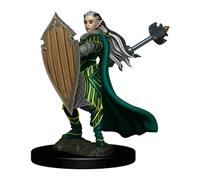 Dungeons & Dragons Premium Elfo Paladino Fantasy Figura giocattolo in miniatura