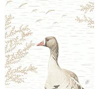 Duni Bio Dunisoft Tovaglioli Wood & Goose 40x40cm 60 Pezzi