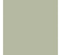 Duni Tissue Serviettes 33 X 33CM Verde Pistacchio 3 Strati 250 Pezzi