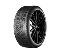 Dunlop Winter 205/50R17 93V XL 3PMSF M+S MFS