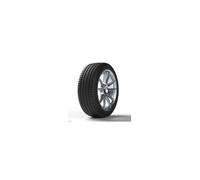 Dunlop TT 900 GP ( 120/80-14 TT 58P ruota posteriore, M/C, Variante J )