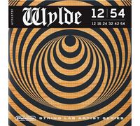 Dunlop ZWAP1254 Zakk Wylde String Lab 12-54 Corde Chitarra Acustica
