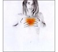 Francis Dunnery – Fearless – Atlantic Bicycle