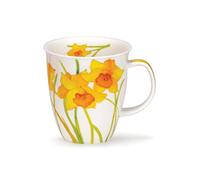 DUNOON Nevis Flora Campana di Pasqua
