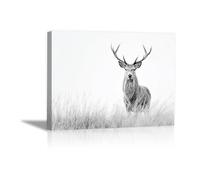 DunPei Animali Ritratto PosterDipinti Graffiti Cerf abstrait decorazione artistica da parete, decorazione moderna, poster artistico da appendere(Bianco e nero)-30x45cm Incorniciato