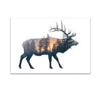 DunPei Poster con animali Cerf abstrait Decorazione Murale Camera da Letto Cucina Quadri Moderni Soggiorno Grafica Immagini Wall Art(Bianco)-50x70cm Non incorniciato