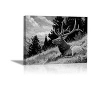 DunPei Poster con animali Cerf Decorazione Murale Camera da Letto Cucina Quadri Moderni Soggiorno Grafica Immagini Wall Art(Bianco e nero)-30x45cm Incorniciato