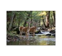 DunPei Poster con animali Cerfs de la forêt Decorazione Murale Camera da Letto Cucina Quadri Moderni Soggiorno Grafica Immagini Wall Art(verde)-70x100cm Non incorniciato