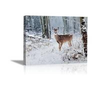 DunPei Poster con animali Le cerf de la neige Decorazione Murale Camera da Letto Cucina Quadri Moderni Soggiorno Grafica Immagini Wall Art(Bianco)-80x120cm Incorniciato