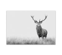 DunPei Quadro su Tela di Animali decorazione della casa Le cerf qui regarde decorazioni murali ideali per camera da letto bagno sala da pranzo(Bianco e nero)-30x45cm Non incorniciato