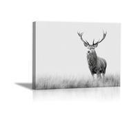 DunPei Quadro su Tela di Animali decorazione della casa Le cerf qui regarde decorazioni murali ideali per camera da letto bagno sala da pranzo(Bianco e nero)-50x70cm Incorniciato