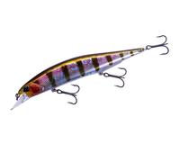 DUO Realis Jerkbait 120F 12cm 17.1g Floating Esche NUOVI COLORI