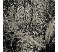 Duo Pour 454 Chordes - Duo Pour 454 Chordes