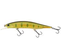 DUO Realis Jerkbait 120SP 12cm 17.7g Suspending Esche COLORI
