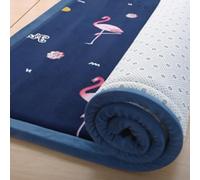 DUOLEH Tappeti morbidi per pavimenti, spessi tatami giapponesi, tappetini per gattonare spesso, antiscivolo, a pelo corto, per soggiorno e camera da letto, non perdono peli (160 x 200 cm, stile 2)