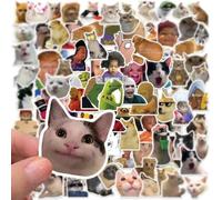 Duoleimi 100 pack meme sticker set adesivi divertenti adesivi in vinile impermeabile per laptop bambini auto moto bici skateboard valigia computer - cool meme adesivi insegnante graffiti decalcomania