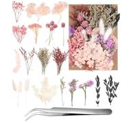 Duoleimi Fiori secchi - Fiori secchi naturali per fai da te, per tutti i santi, Natale, fai da te e molto altro ancora, piccoli fiori secchi, con pinzette gratuite.