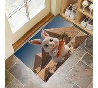 DUOTCYELE Zerbino 90 x 150 cm, Zerbino Con Piramide Coniglio Esterno Interno Ingresso, Zerbinos Divertente Animale Dei Cartoni Animati Antiscivolo Con Bordi Resistenti per Porta E Corridoio, Marrone
